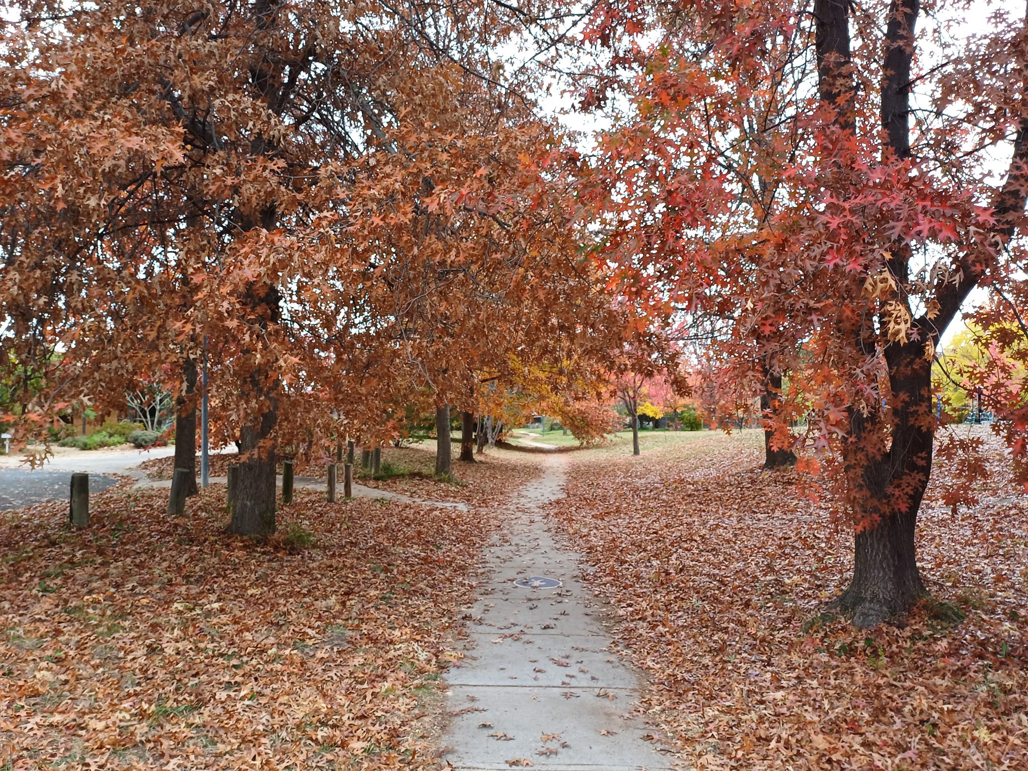 Strange Notations From a Laborious Life